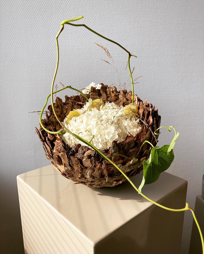 Pinus Bowl