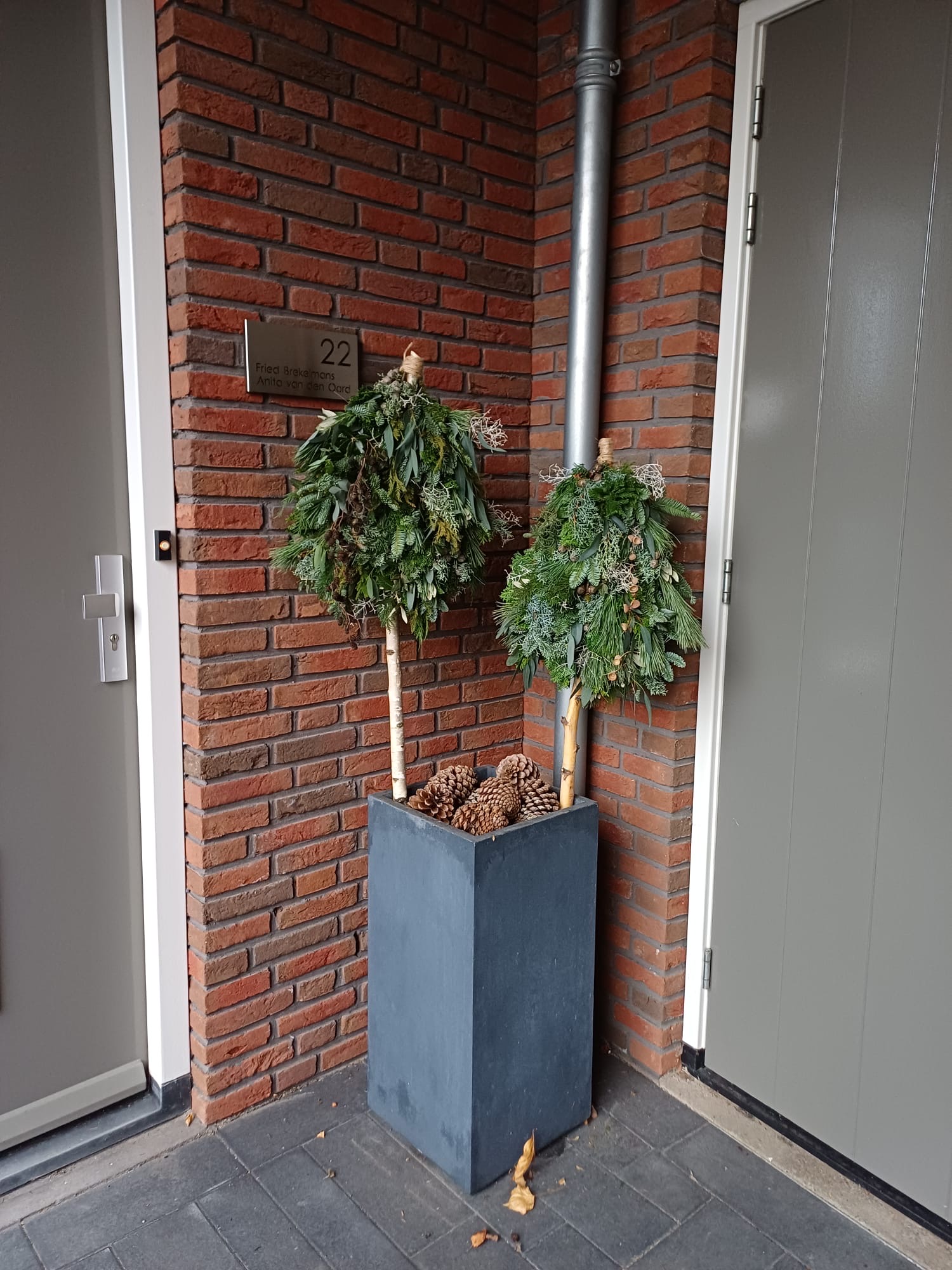 Mini kerstboompjes