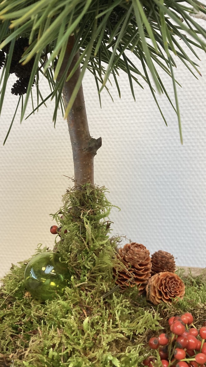 Little Christmas tree
