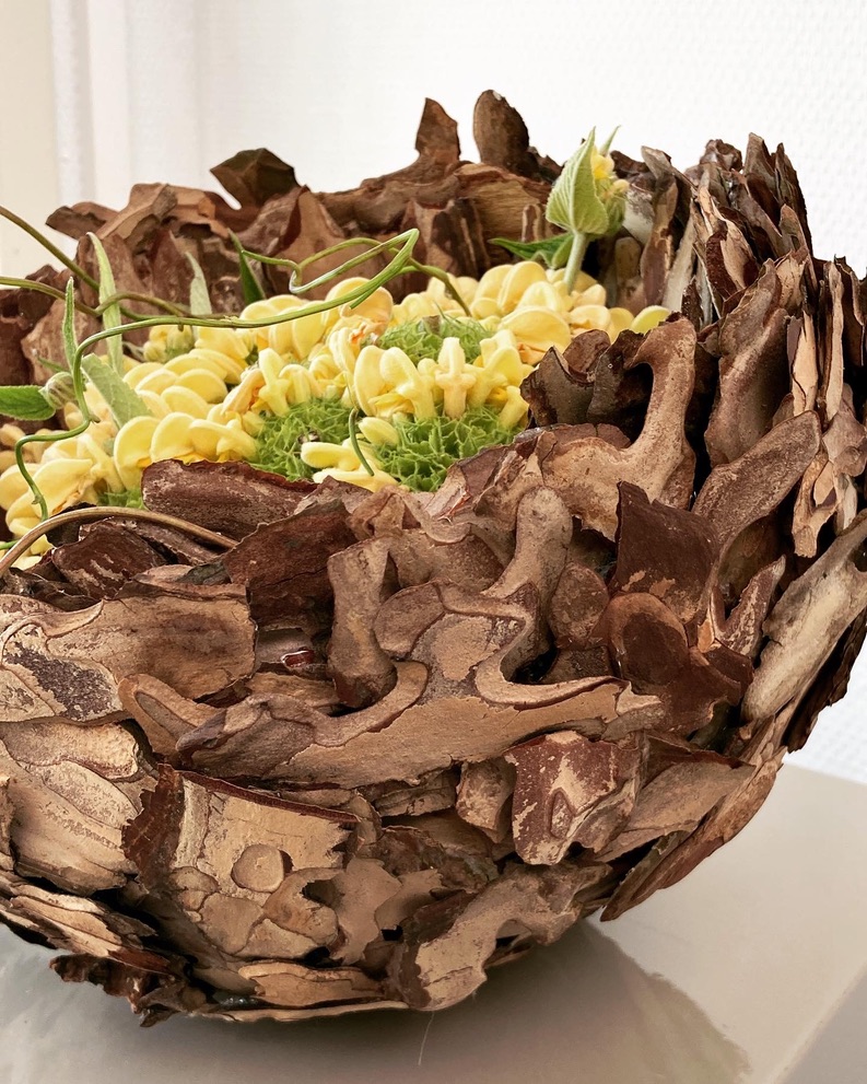 Pinus Bowl