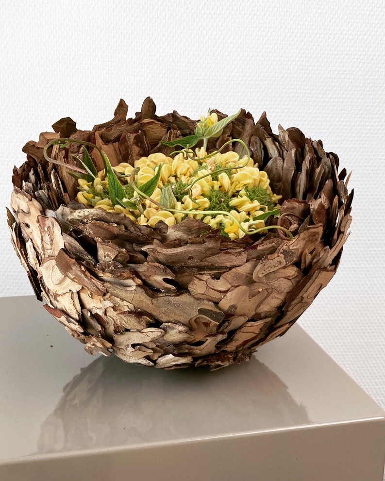 Pinus Bowl