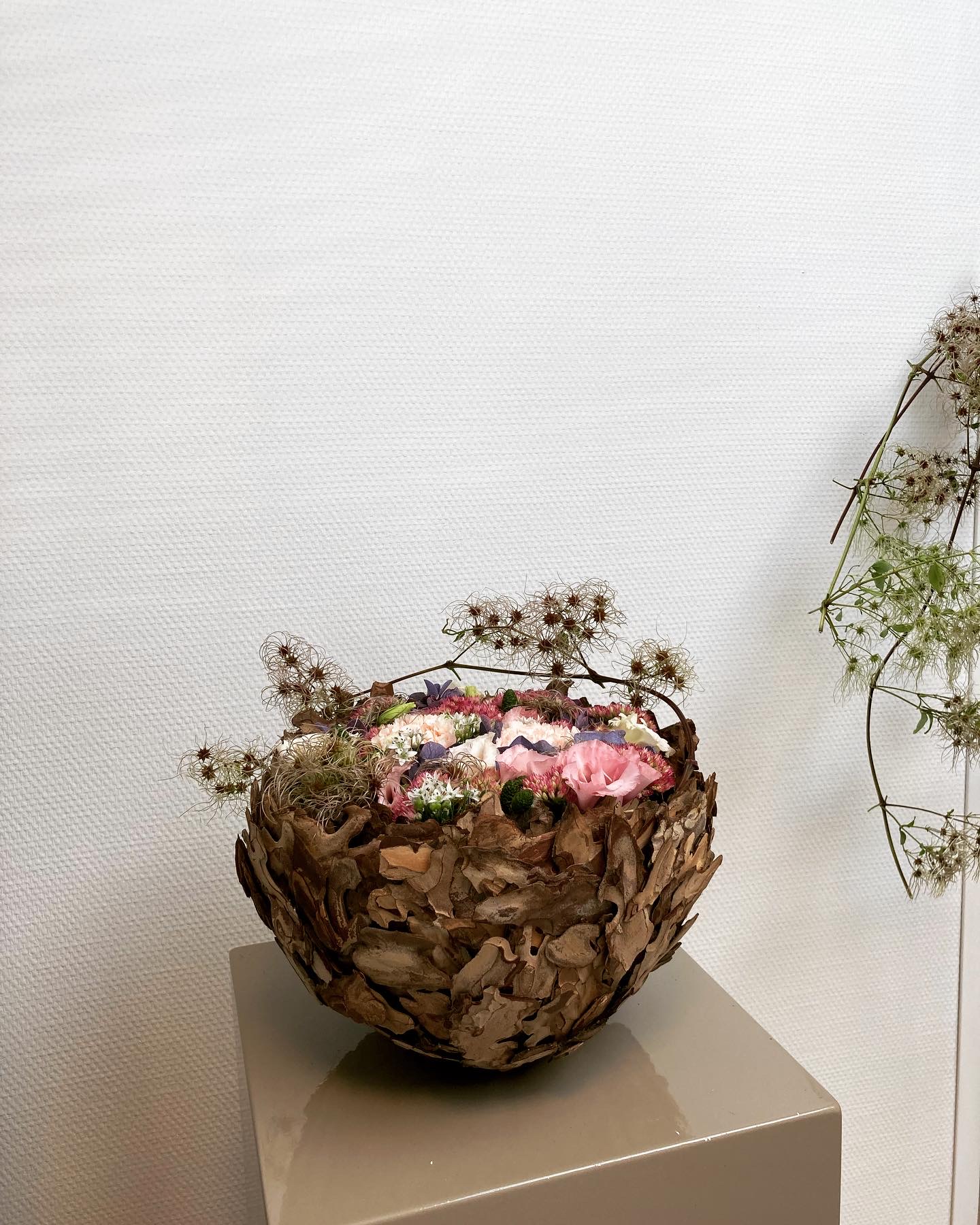 Pinus Bowl