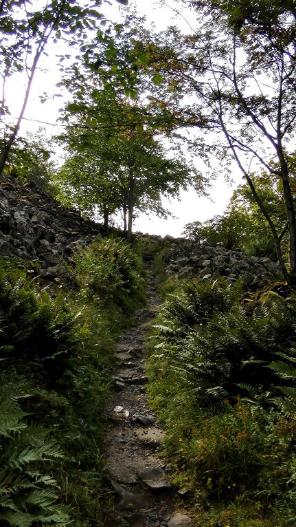 Wanderweg hoch zum "Rauher Kulm"