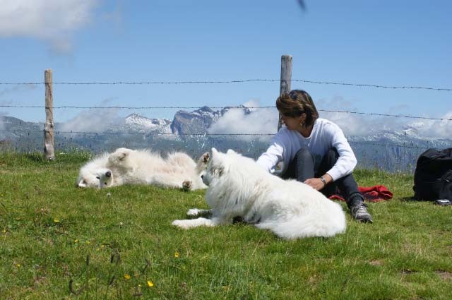 Herrlich auf der kleinen Scheidegg