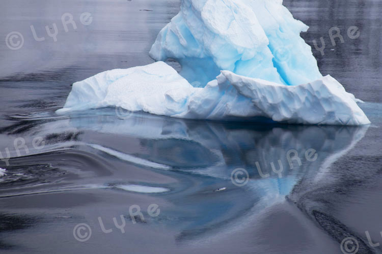 2011-11-26 - Antarktische Halbinsel (Antarctic Peninsula), Neko Harbour