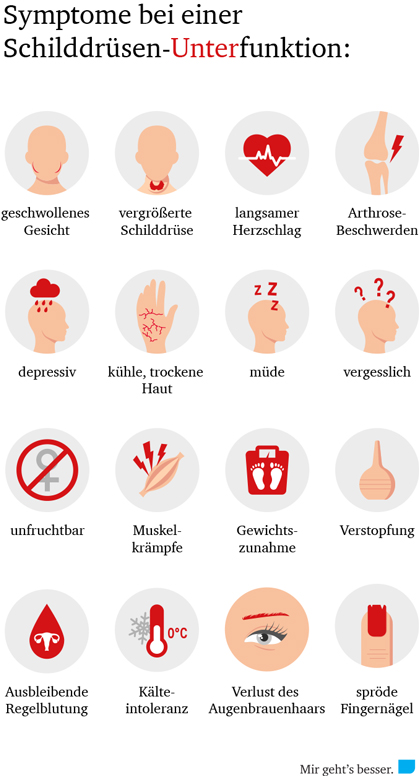 Dr. Matthias Marquardt, Vitalarzt, Symptome einer Schilddrüsen-Unterfunktion