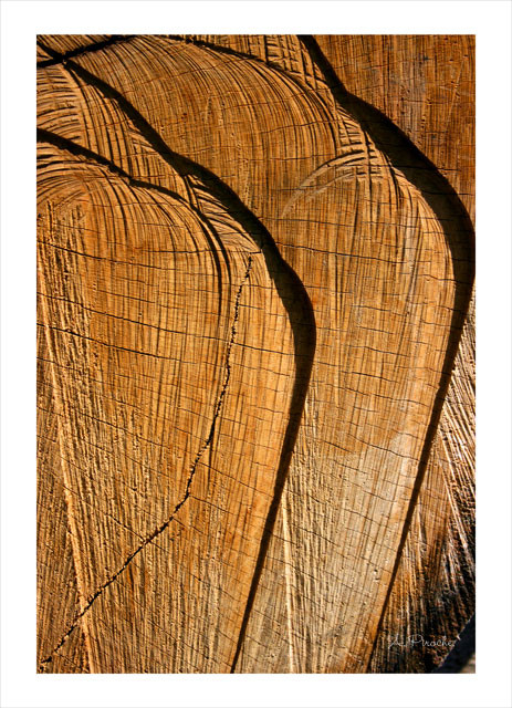 Vague de bois - Toile 73x50