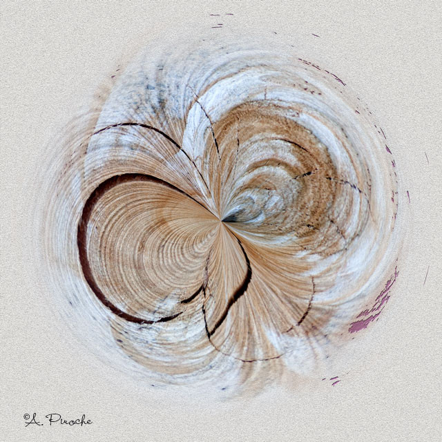 Papillon de bois - Toile 80x80