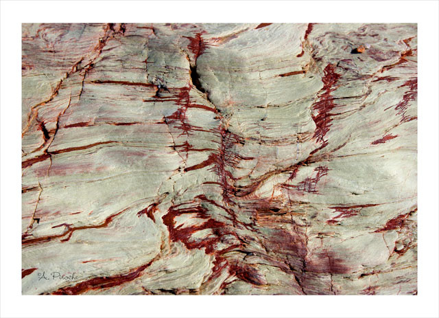 Sanguine - Toile 73x50