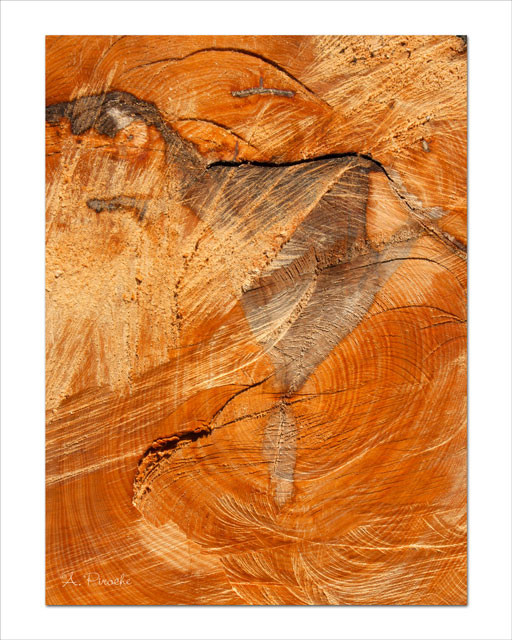 Préhistorique - Toile 73x50