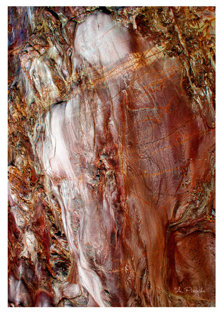 Chevelure - Toile 73x50