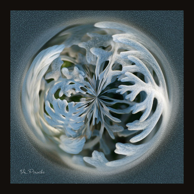 Flocon - Toile 40x40