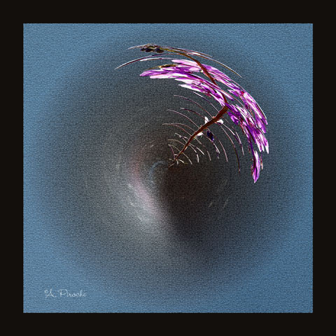 Déco - Toile 40x40
