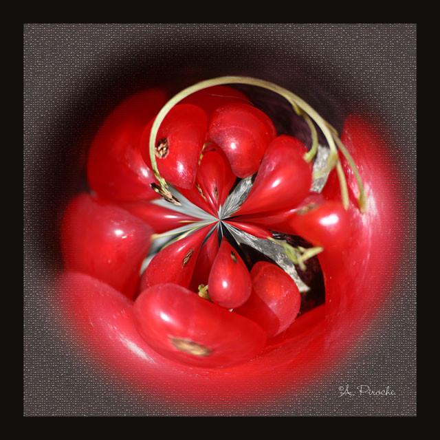Rouge groseille - Toile 40x40