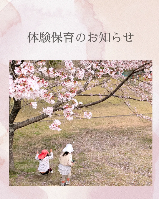 体験保育のお知らせ