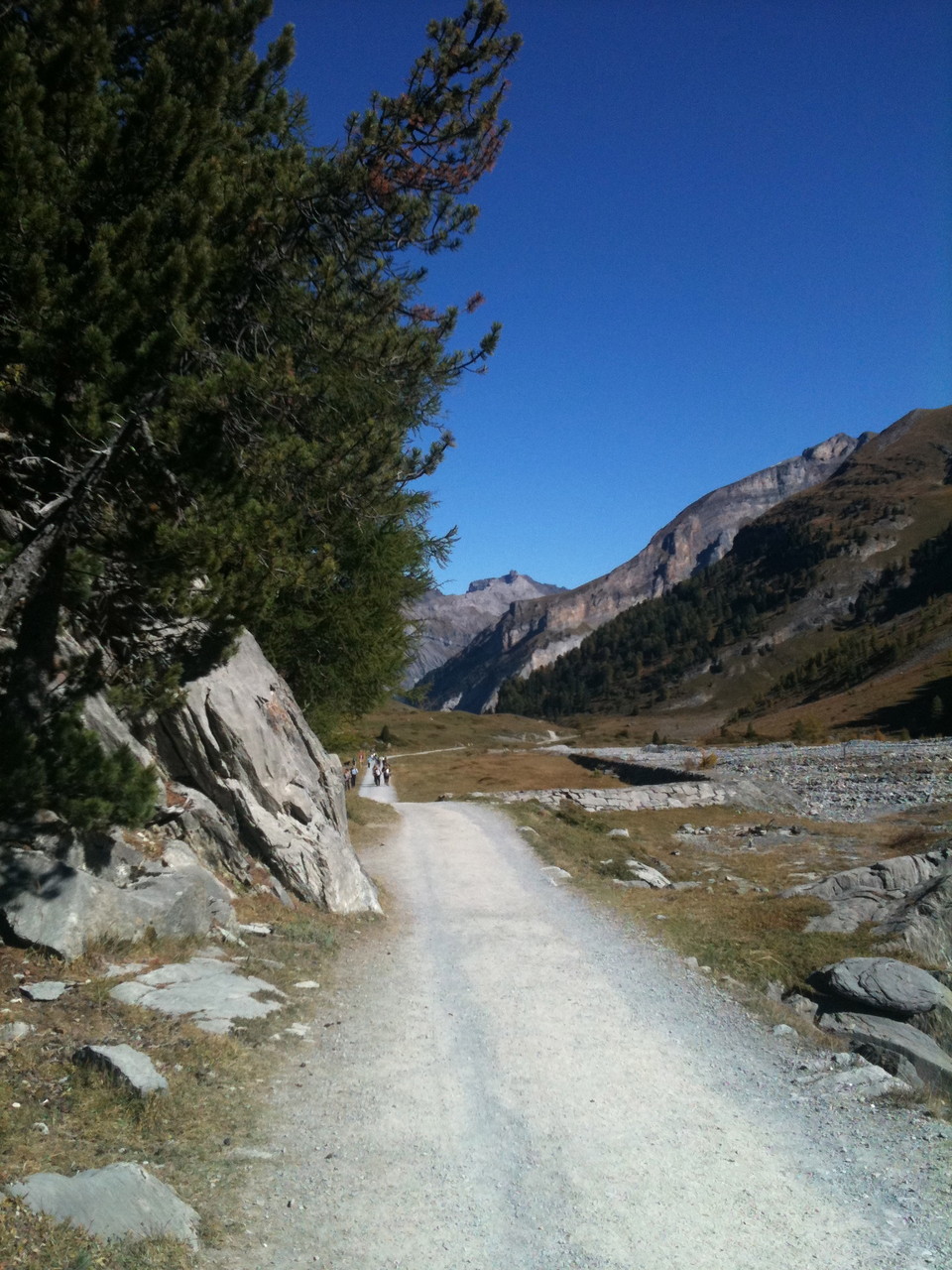 Wanderweg Schwarenbach - Sunnbuel