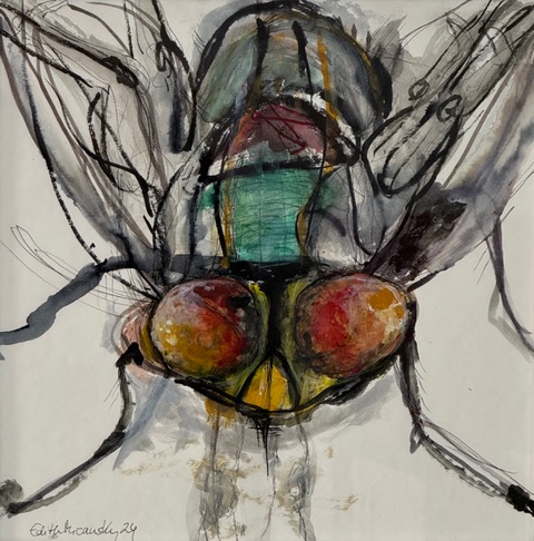 Serie "flies", Zeichnung, Aquarell auf Papier, 2024, 30x30 cm