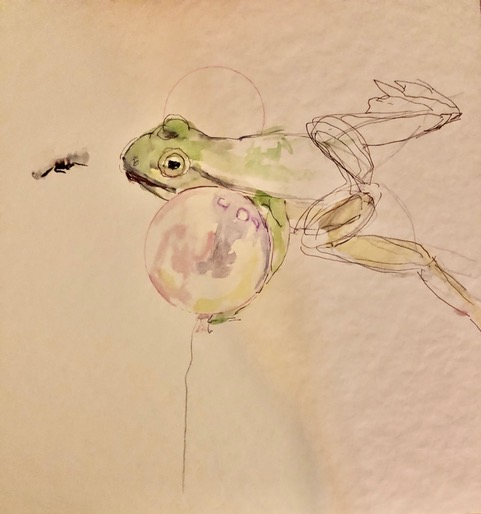 Serie "frogs", Zeichnung, Aquarell auf Papier, 2024, 30x30 cm