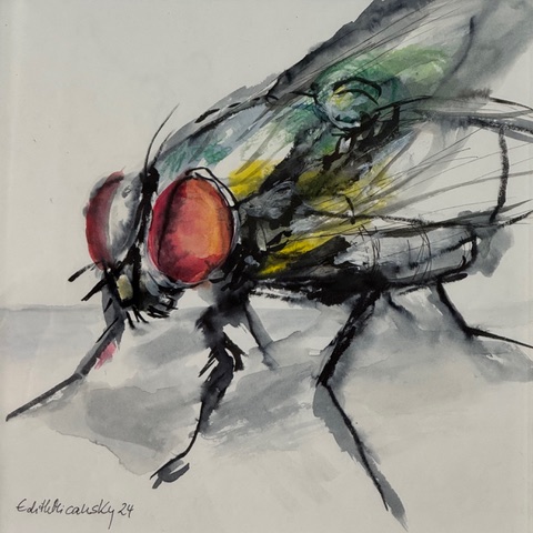 Serie "flies", Zeichnung, Aquarell auf Papier, 2024, 30x30 cm