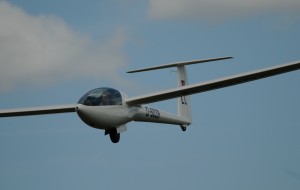 DG 300