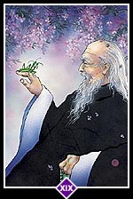Osho Zen Tarot carta oráculo