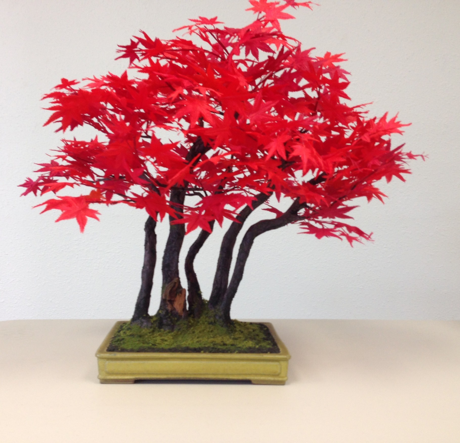 Zokei Bonsai WA Japanese Language School Federal Way, WA