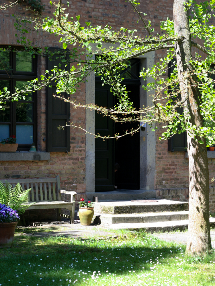 Institut IMAP in der Alte Schule, Königswinter - Eingang