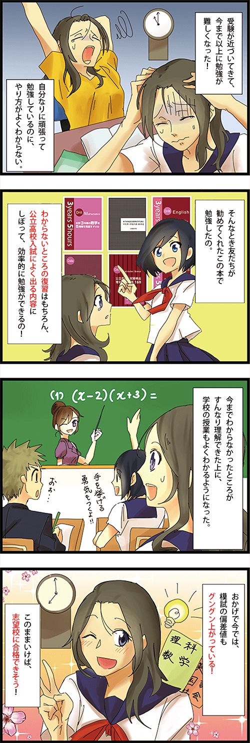 値段交渉可。高校入試 要点&問題集 最高レベルの難関私立・国公立高校入試対策ができる！『難問題