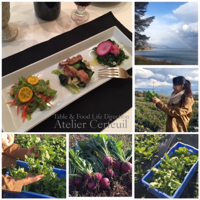 Atelier Cerfeuil畑と採れた野菜で料理