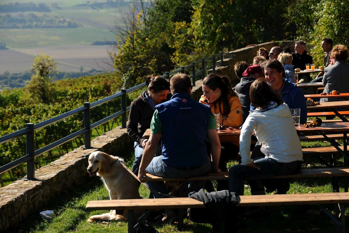 Gastronomie im Zellertal - Zellertalweg - Wandern im Zellertal