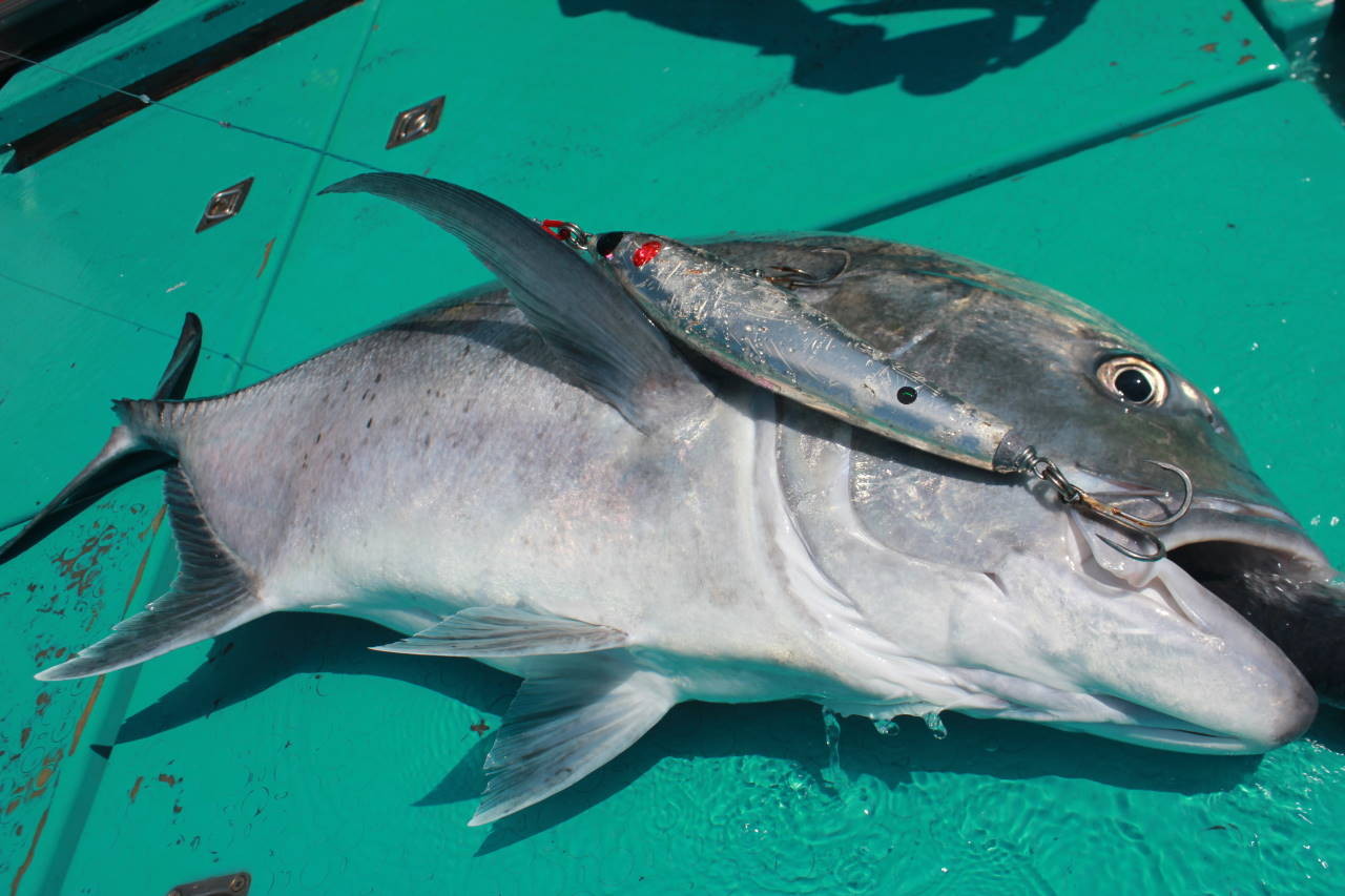 更新履歴 - kzworks-srgalah ページ！