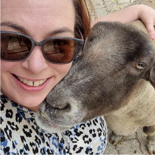 Schaffreundschaft und mehr