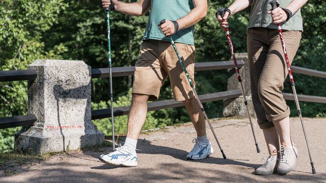 Schnupperkurs Nordic Walking am 29./30. März 2025