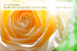 プロフィール【inner-wish】