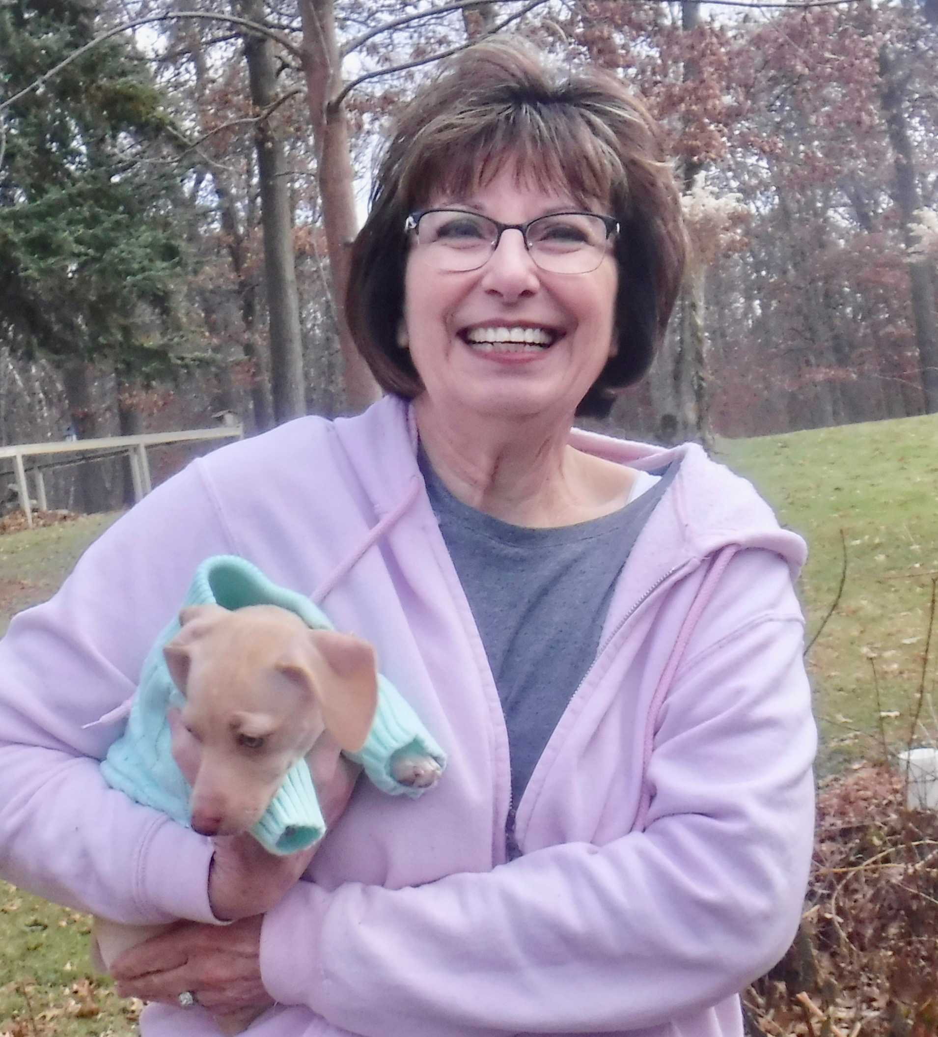 Our home is just like your home. k9justlikehome CANINE BED