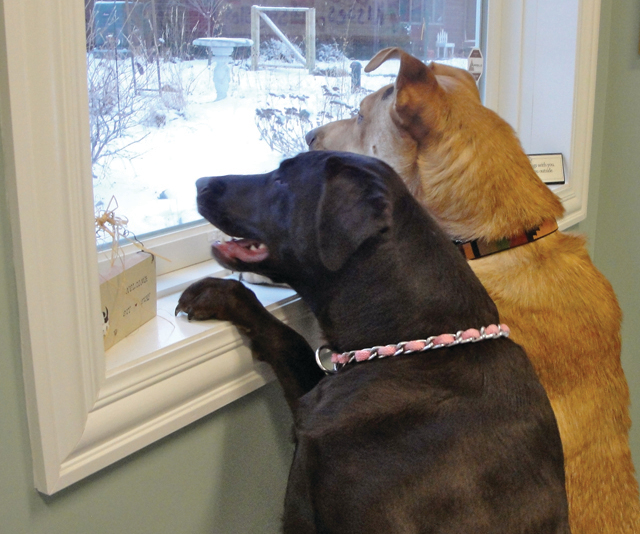 Waiting for more friends to arrive.