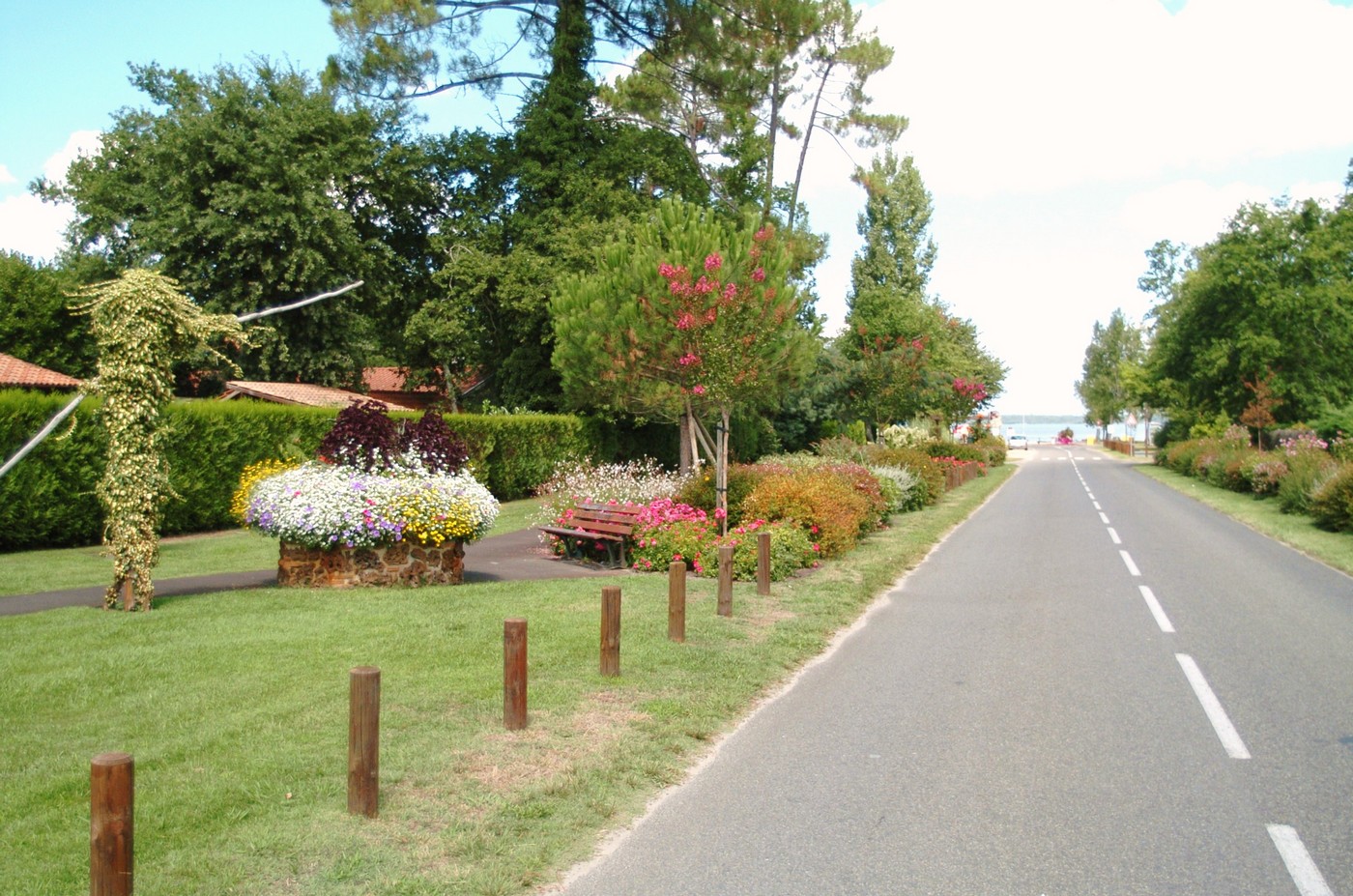 Avenue du lac à Gastes (40160) sur la cote atlantique