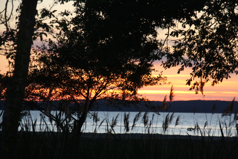 camping-familial-bord-lac-de-biscarrosse