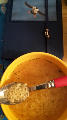 Auf dem Bild seht ihr mein NaNo-Tagebuch 2015 und das passende Essen für Naniten: Buchstabensuppe. 