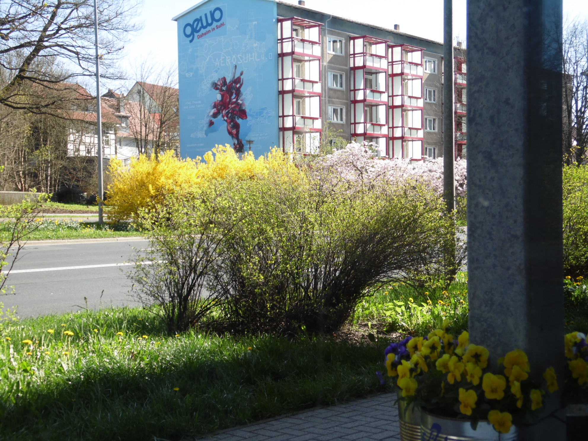 Blick nach draussen