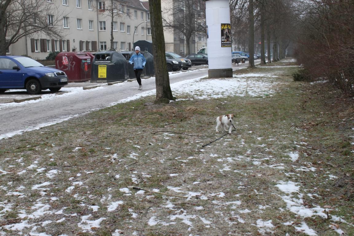 Schnell zurück zu Frauchen!