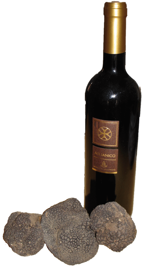 Tartufo con vino