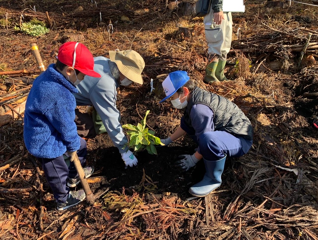 みんなで木を植える（白馬南小 植樹体験）