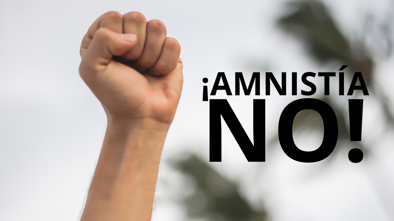 No a la Amnistía: Diálogo Sí, Impunidad No