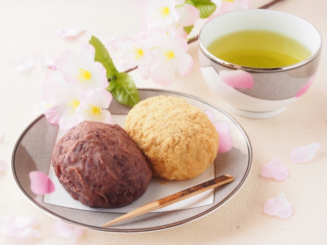 春分の日
