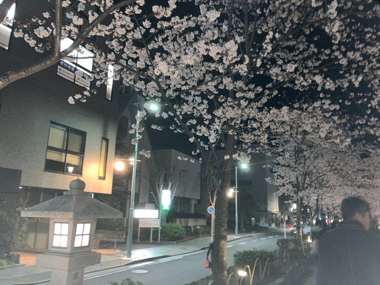 若宮大路～段葛（だんかずら）～
