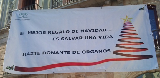 Lema de la campaña. La pancarta de grandes dimensiones permaneció expuesta durante todas las fiestas navideñas en pleno centro de Granada.