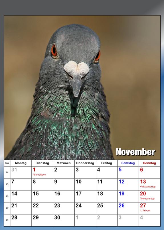 November