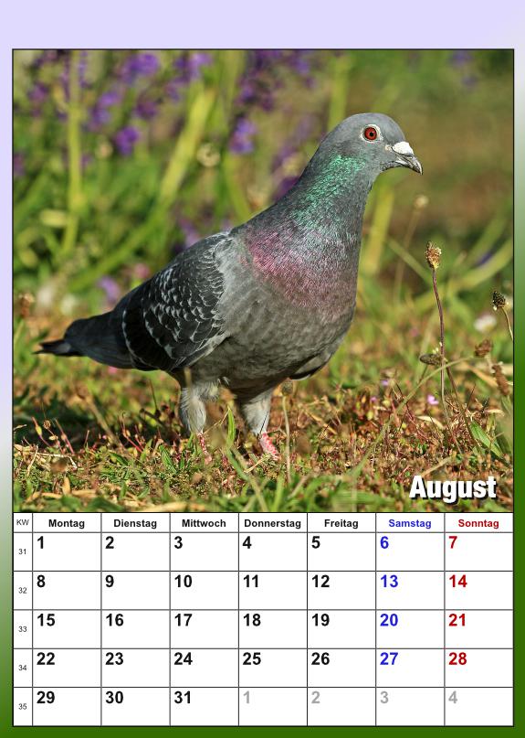 August