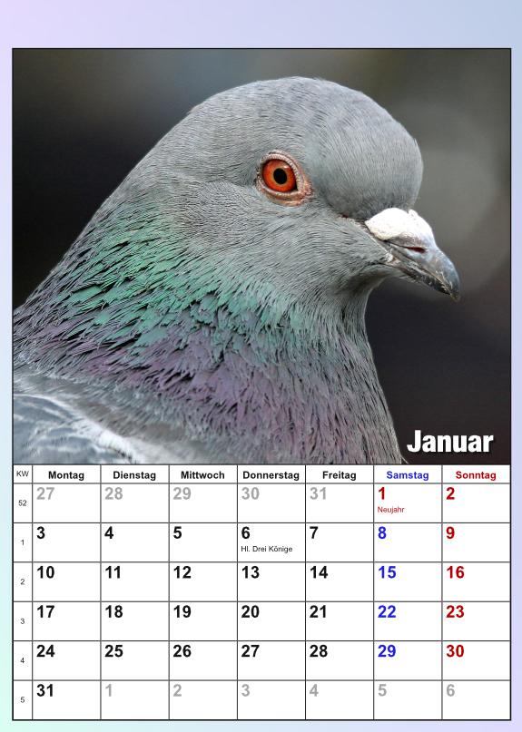 Januar